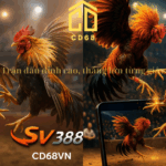 huong-dan-da-ga-truc-tuyen-sv388-cach-choi-tinh-keo-va-hieu-dung-ty-le-malay