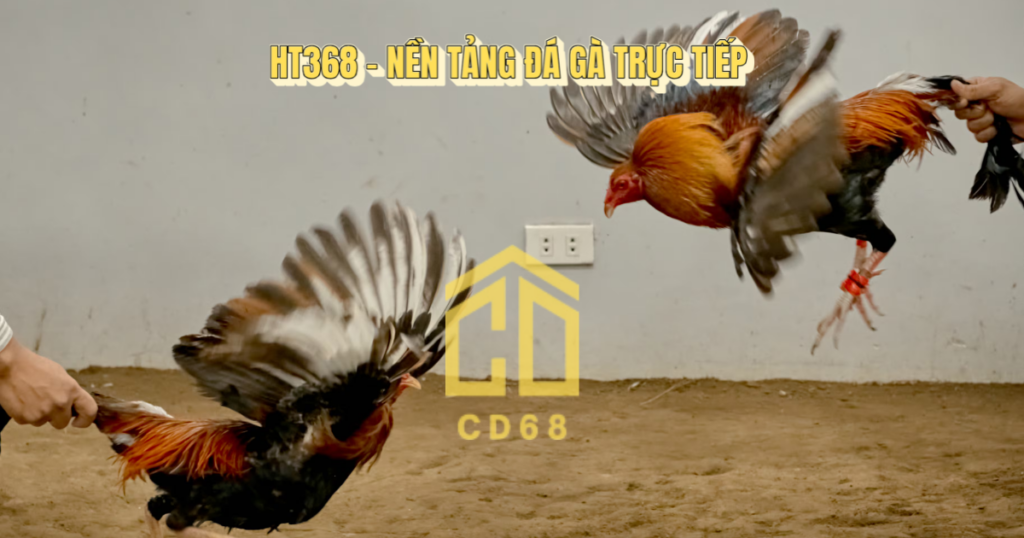 đá gà trực tiếp