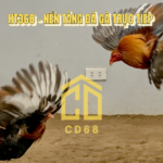 đá gà trực tiếp