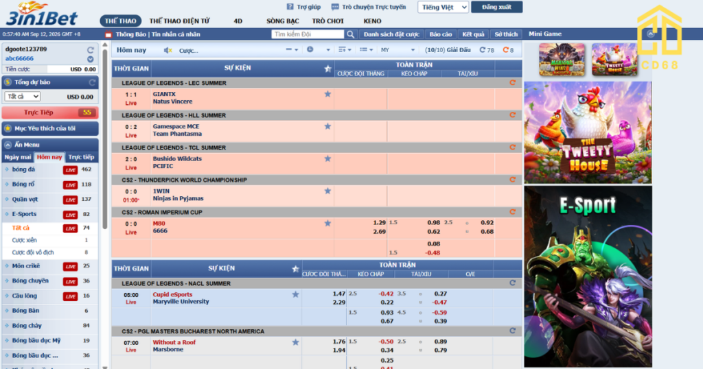 3in1Bet