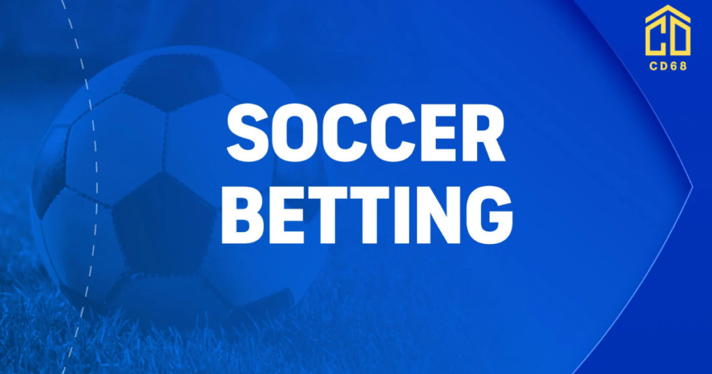3in1Bet