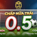 cách hiểu kèo chấp nửa trái, mốc chấp PS3838, đội cửa trên PS3838